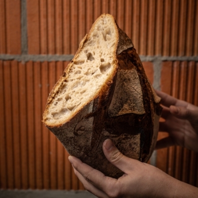 P1 cul terreux 1,6kg