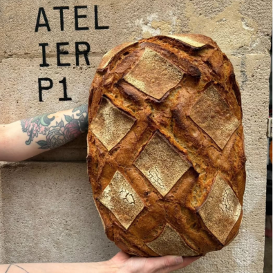 P1 cul terreux 2,4kg